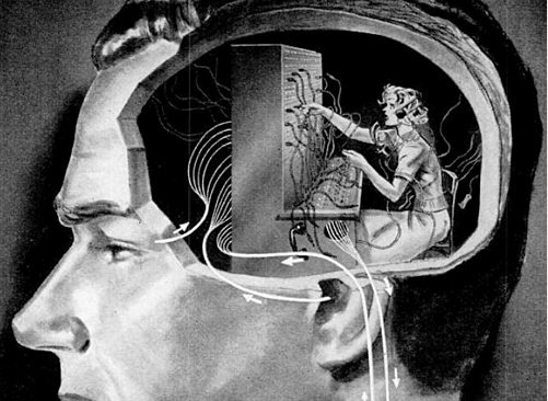 cicatrici che raccontano vite precedenti